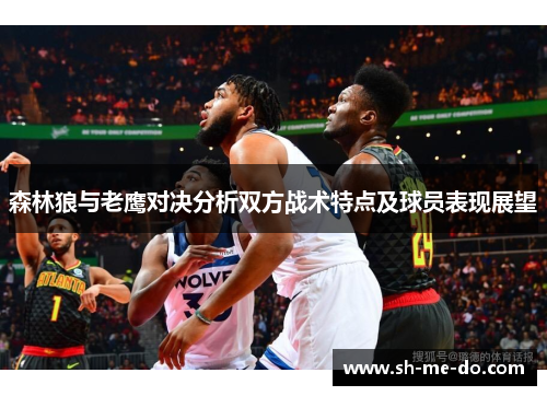 森林狼与老鹰对决分析双方战术特点及球员表现展望